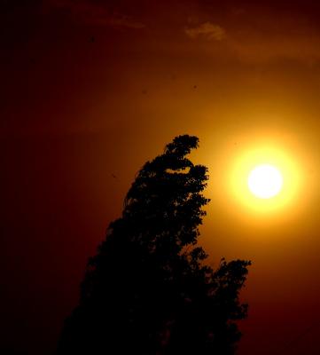 Прикрепленное изображение: IMG_8956.jpg